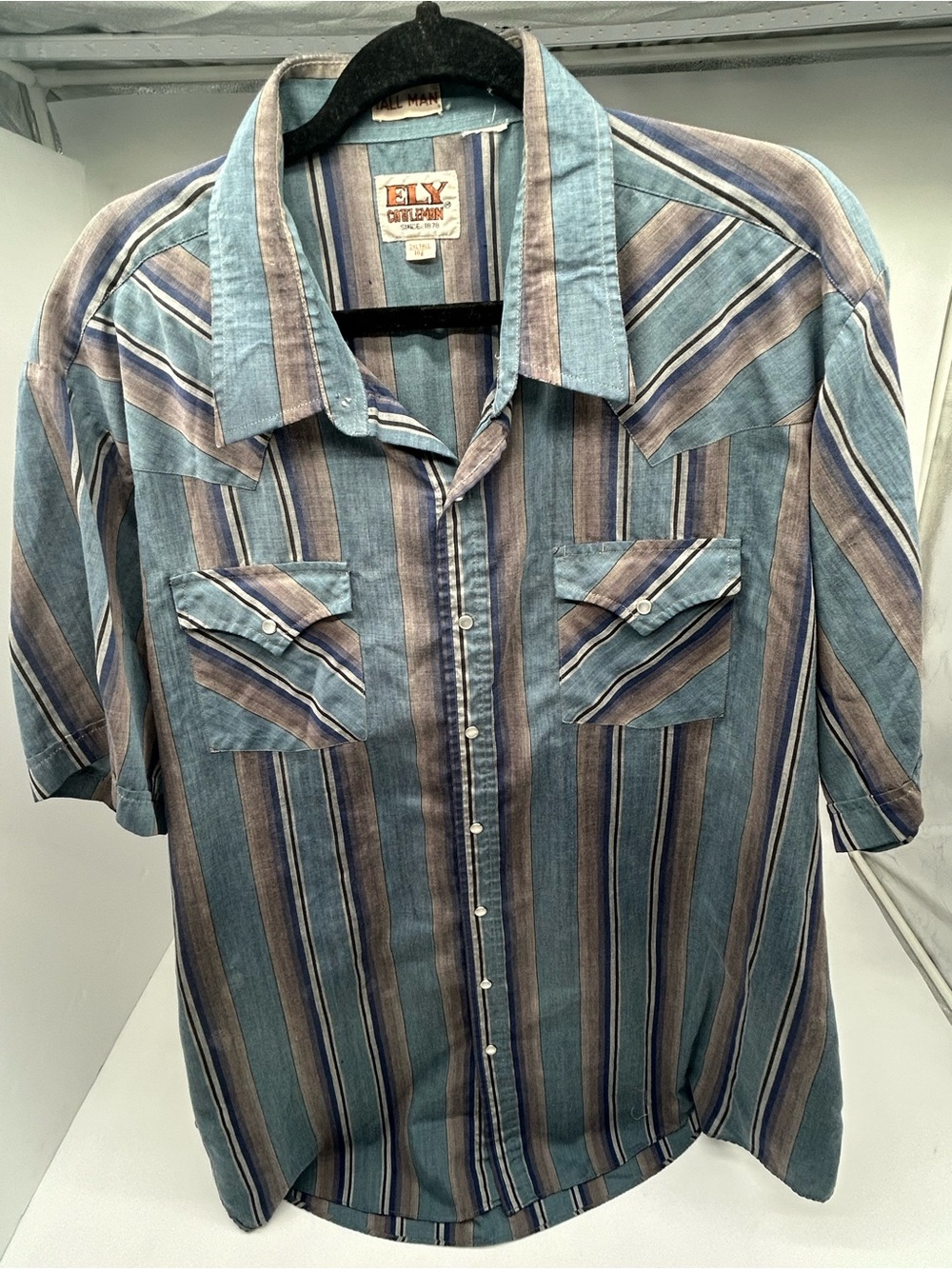 Vintage Ely Cattleman Blue Striped Short-Sleeve Pearl Snap Shirt 2XLT